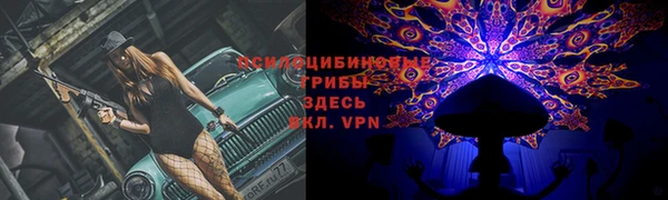 apvp Заволжье
