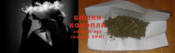 ПСИЛОЦИБИНОВЫЕ ГРИБЫ Заволжск