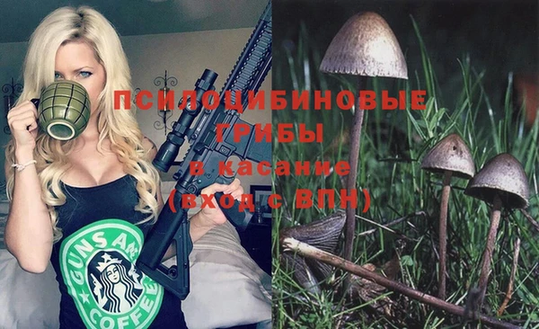 таблы Заводоуковск