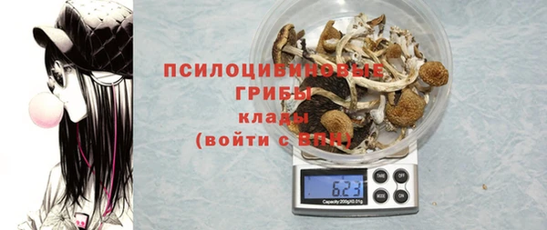 apvp Заволжье