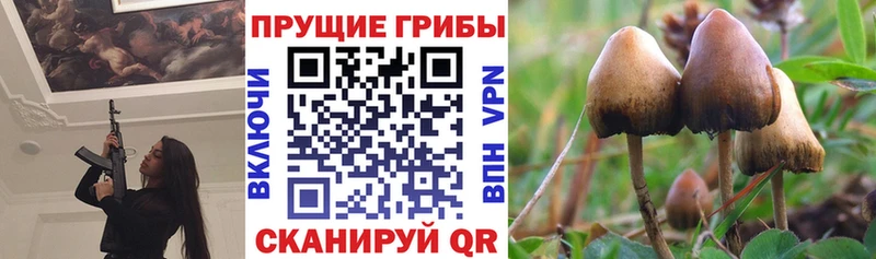 Псилоцибиновые грибы Cubensis  MEGA tor  Сковородино 