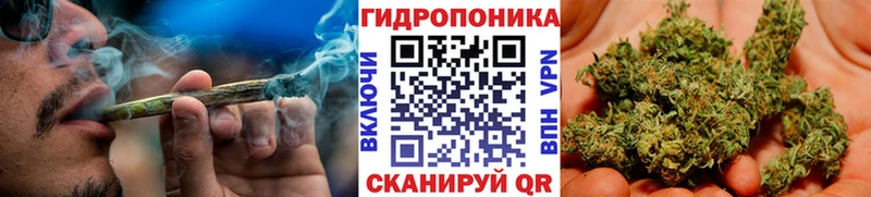 закладки  Сковородино  гидра рабочий сайт  Канабис AK-47 